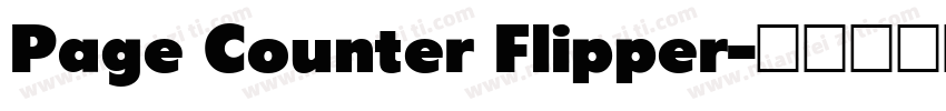 Page Counter Flipper字体转换